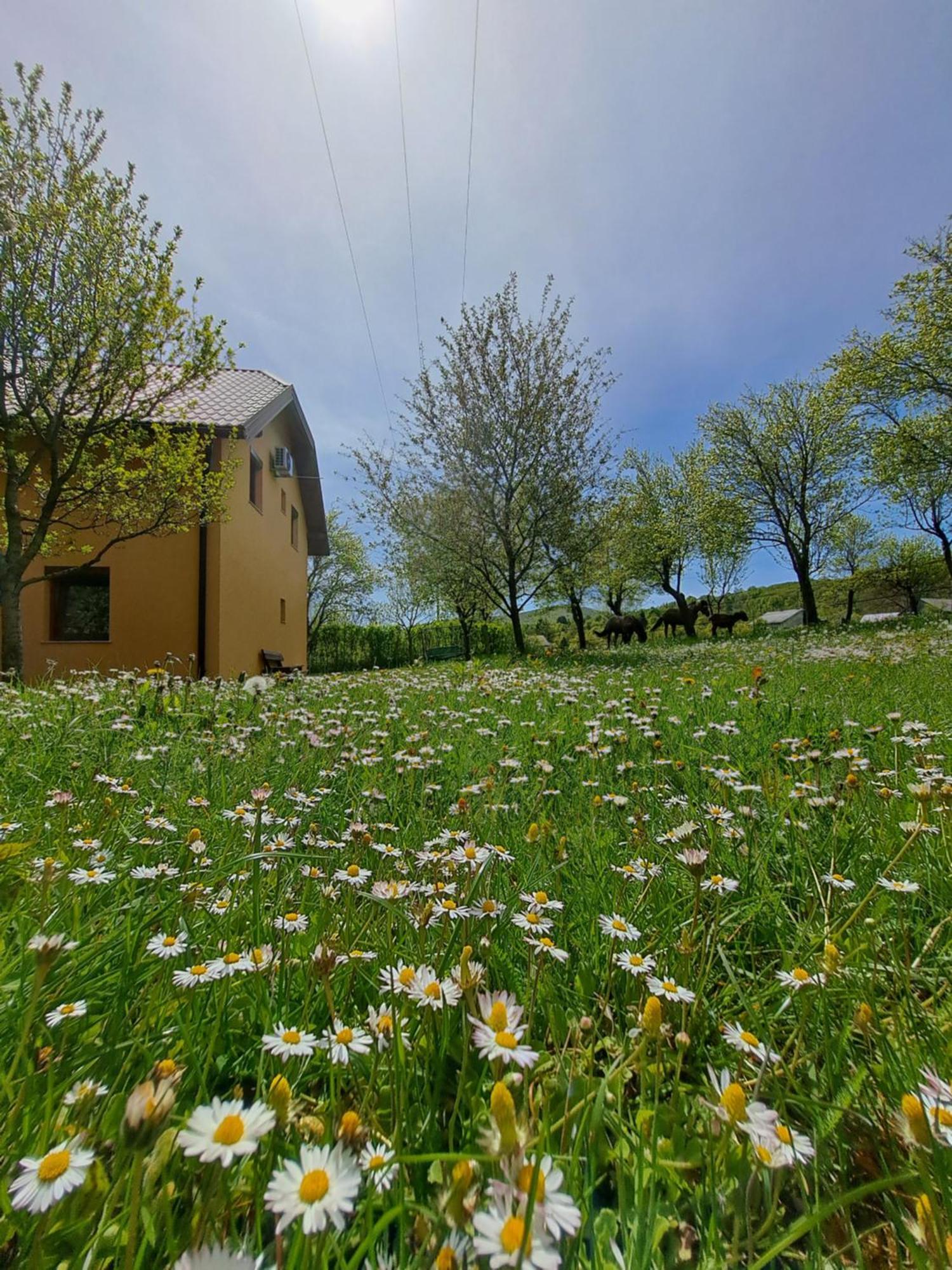 St George B&B Korenica Exterior photo