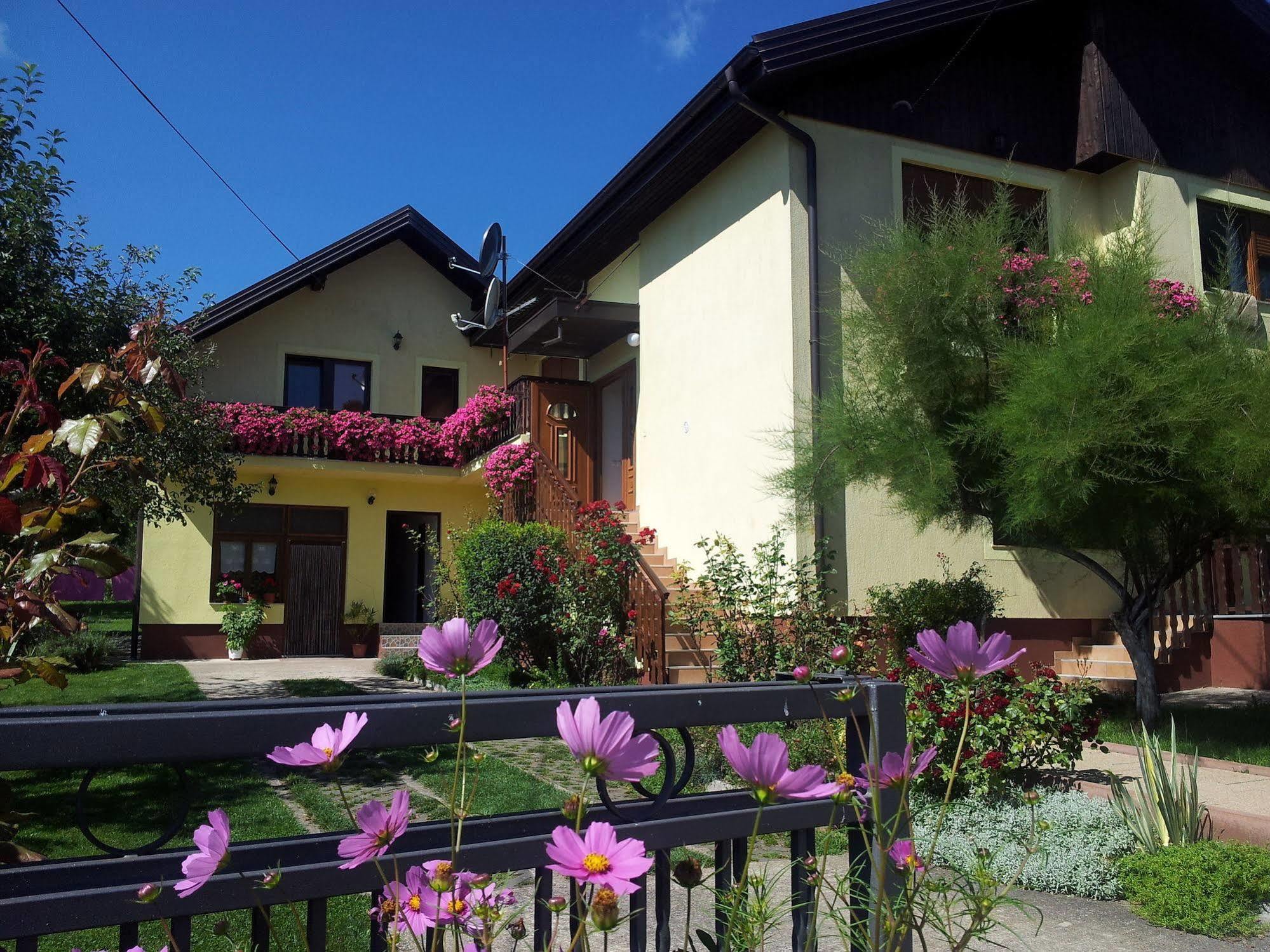 St George B&B Korenica Exterior photo